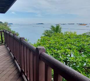 Ausblick Aussichtsturm