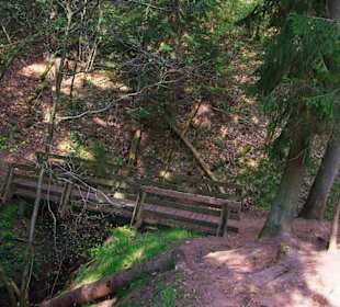 Steil ab zum Bitterbach