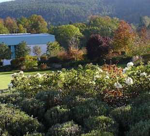 Blick nach links über den Teich vor der Freiluftbühne