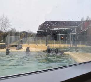 Gäste bei der Fütterung