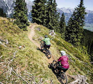 (c) Bikepark Leogang / Artisual