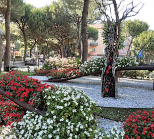 Stadtrundgang Milano Marittima