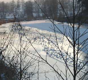 Sonnenuntergang am Regen