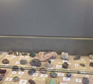 Naturhistorisches Museum