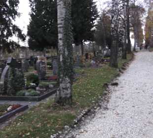 Friedhof