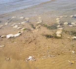 Strand in Bibione Juni 2012