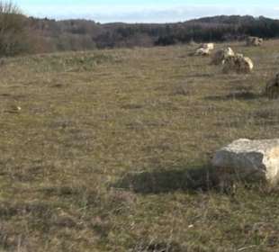 Ort der Stille Böttingen