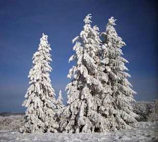 Impressionen Dezember 2012