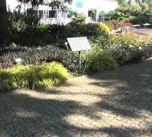 Eingang - Berggarten