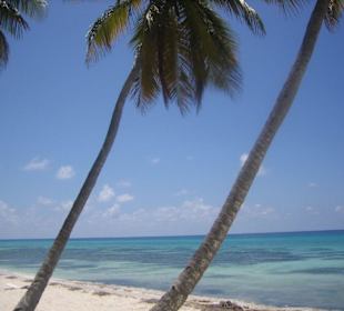 Isla Saona
