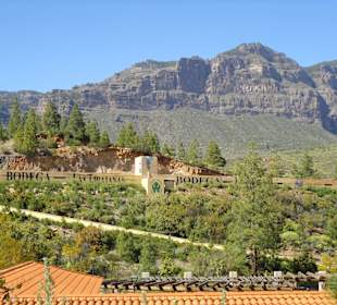 Tunte/San Bartolomé de Tirajana, Gran Canaria