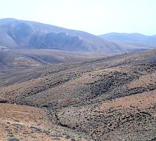 Tagesausflug Inselrundfahrt