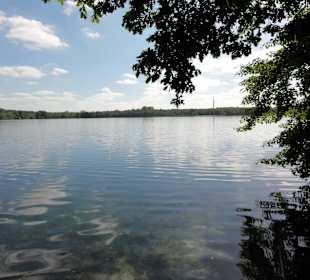 Blick über den Stadtwaldsee