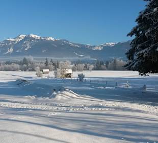 Umgebung mit Wanderwegen und Loipen