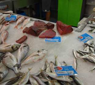 Frischer Fisch 