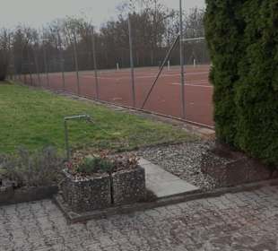 Tennisplatz Neckarhausen