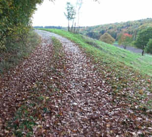 Wanderung Felsen Sankt Johann
