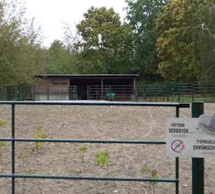 Tierpark 