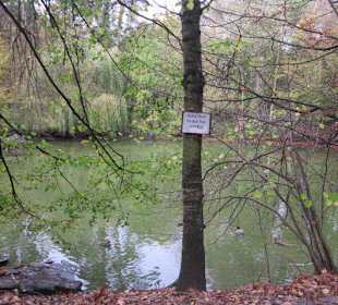 Parkteich