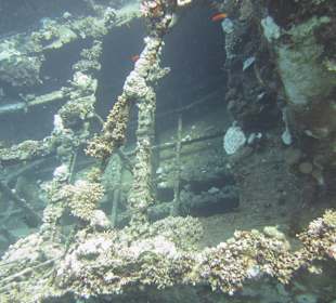 Schnorcheln Marsa Abu Galawa Hurghada