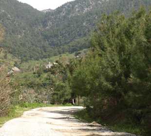 Hinterland