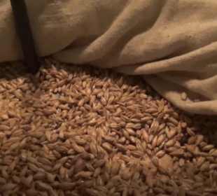 Alles für Nase und Gaumen