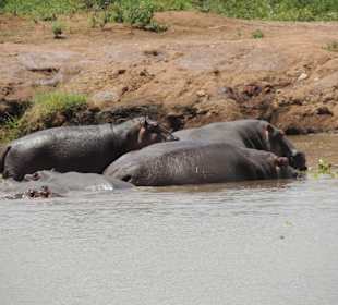 Shimba Hills National Reserve