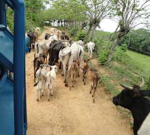 "Kleine Hindernisse" auf dem Weg