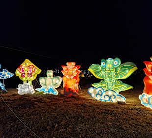 Chinese Lantern World ~ Light Show Tenerife