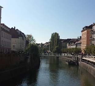 Ljubljanica river