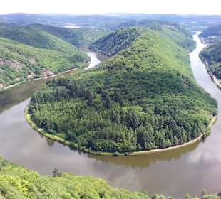 Aussichtspunkt Cloef (Blick zur Saarschleife)