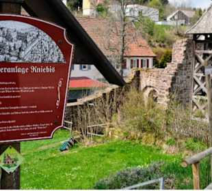 Klosterruine Kniebis