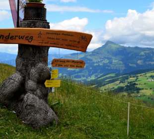 Gaisberg/Kirchberg-Tirol