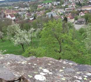 Schloss ob Ellwangen