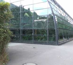 Amazonienhaus