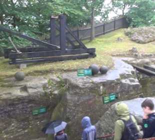 Felsenburg Neurathen