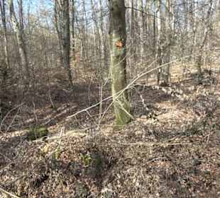 Historischer Rundwanderweg Aichtal