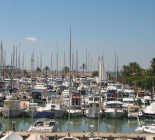 Port d'Alcudia