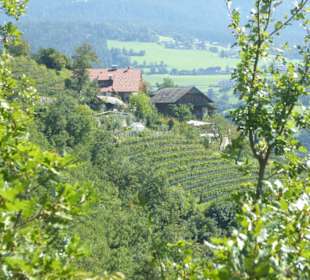 Restaurant Rielinger Hof