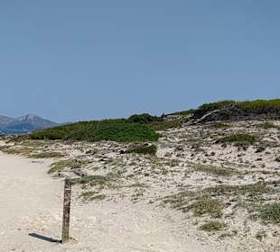 Naturschutzgebiet Dunes de Son Real