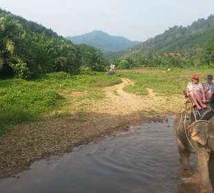 Elefangentour mit Nico