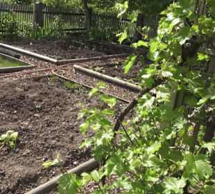 Hohenloher Freilandmuseum