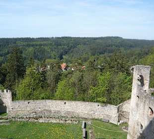 Pohled z hradu Landštejn