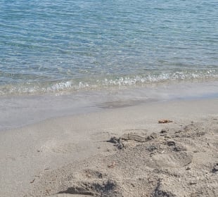 Strand wie in der Karibik