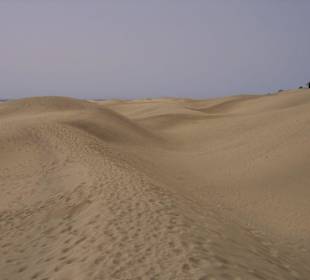 Dünenlandschaft vor dem Hotel Santa Monica