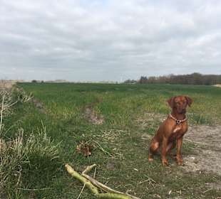 Wandern Emmelsbüll-Horsbüll