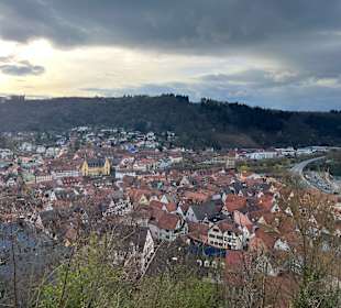 Ausblick Burg Werheim