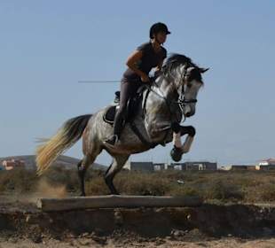 Outdoor school with canter track/XC fences