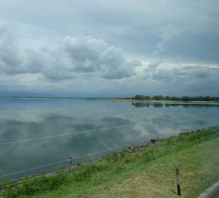 Elefantenreiten Sigiriya