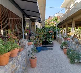 Stadtrundgang Amoudara